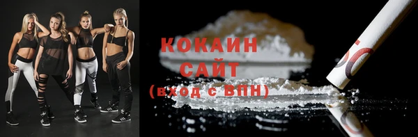соль ск Кулебаки