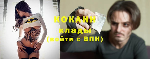 соль ск Кулебаки