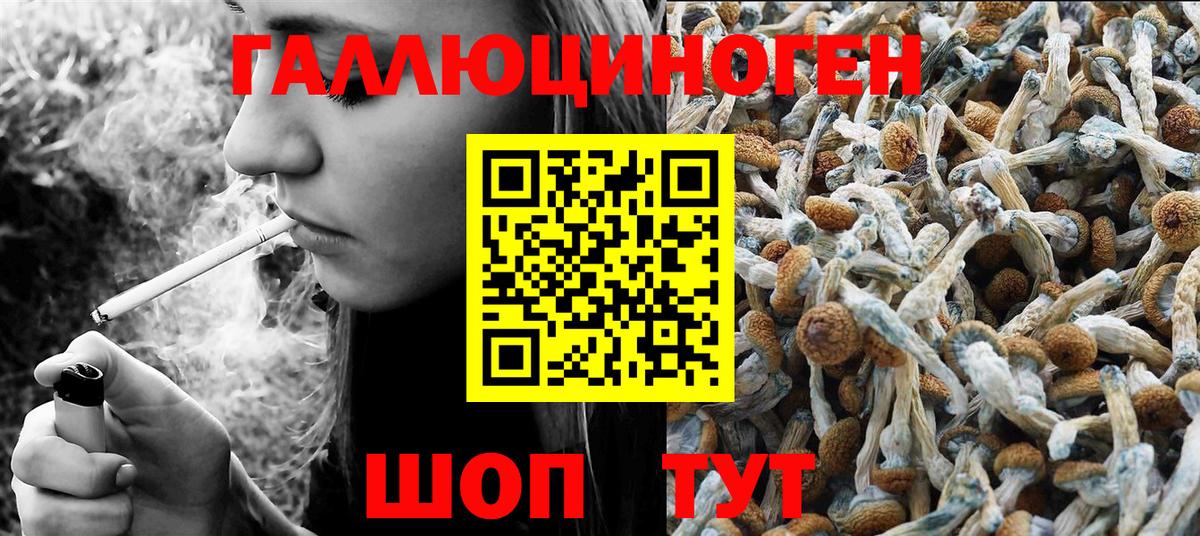 Псилоцибиновые грибы MAGIC MUSHROOMS Краснокамск