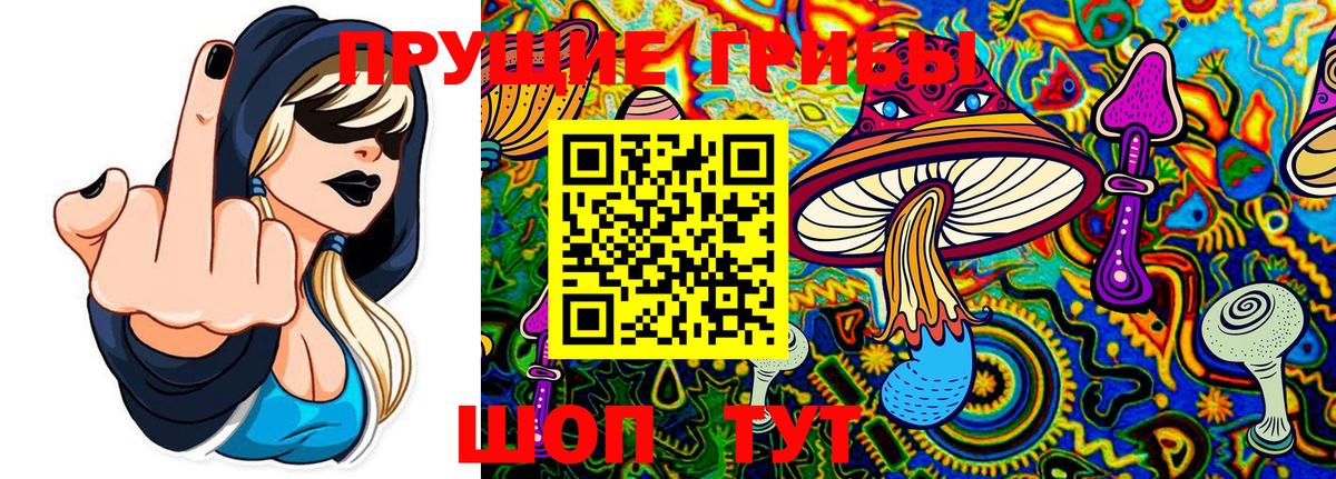 Псилоцибиновые грибы GOLDEN TEACHER Краснокамск